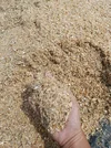 IMG_20260914_135200.webp