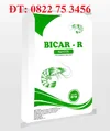 bicar R.webp