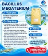 poster.webp