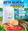 POSTER BETA GLUCAN.webp