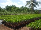 images (1).webp