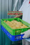 1791600394349_6840872177302163548_6840872177302163548_ba034d147fe33412cff2401327c786ba.webp