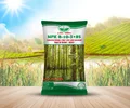 500043.webp