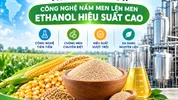8cb54b20-34ce-40f4-8163-117422b8f1df-8057.webp