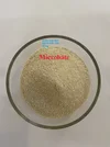 ^^^Microbate (2).webp