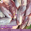BẮP THĂN HOA 60S GOLDEN (10).webp