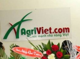 * Hướng dẫn sử dụng Web