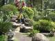 phuong_huy