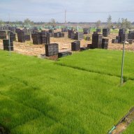 nguyễn hữu dũng