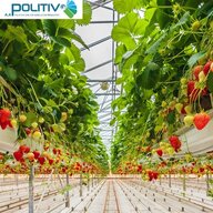 tuoiphunsuongbinhminh