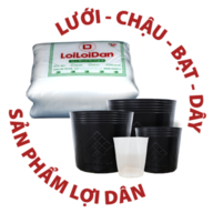 Luoi-Chau-Loi-loi-Dan