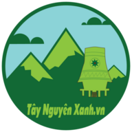 taynguyenxanh