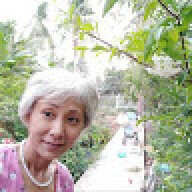 kimdang2003