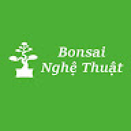 bonsa