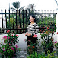 YPhung