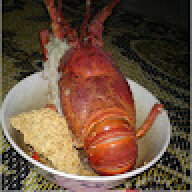 nguenvuong