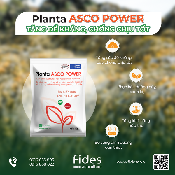 Planta ASCO Power, phân bón lá