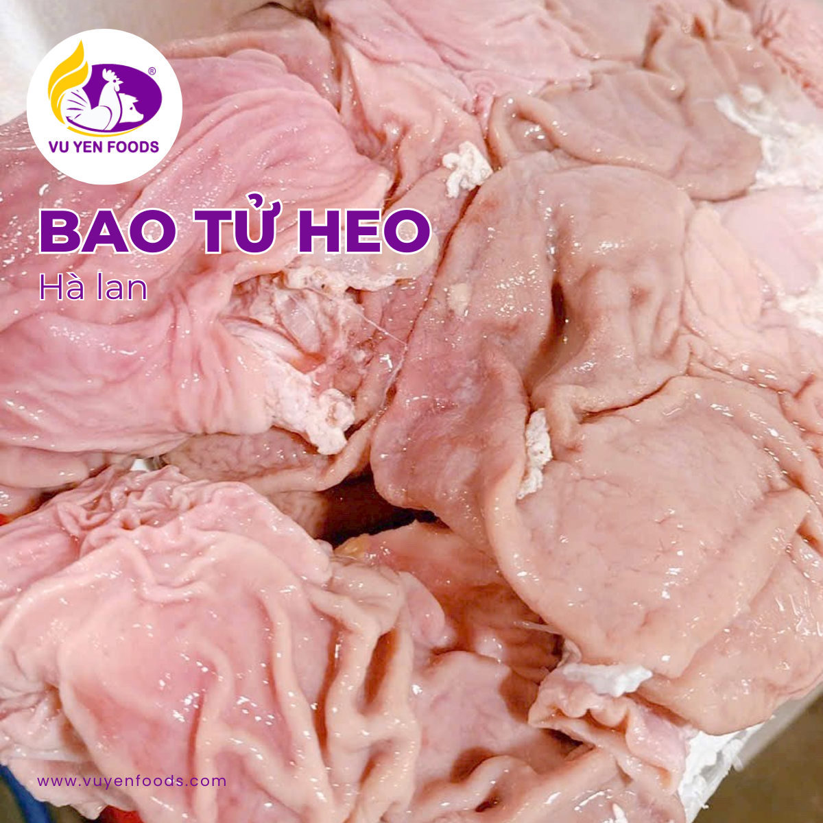 bao%20tu%20heo%20thuc%20pham%20dong%20lanh%20vu%20yen.png