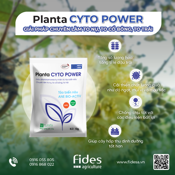 Planta Cyto Power, phân bón lá