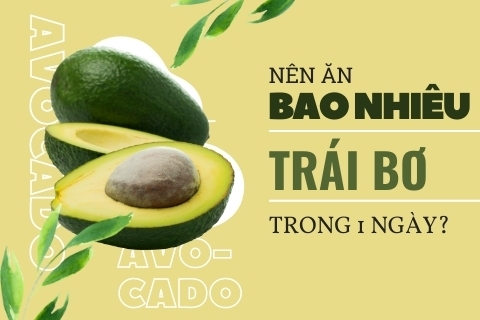 Nên ăn bao nhiêu trái bơ trong 1 ngày? Ăn bơ tăng cân hay giảm cân