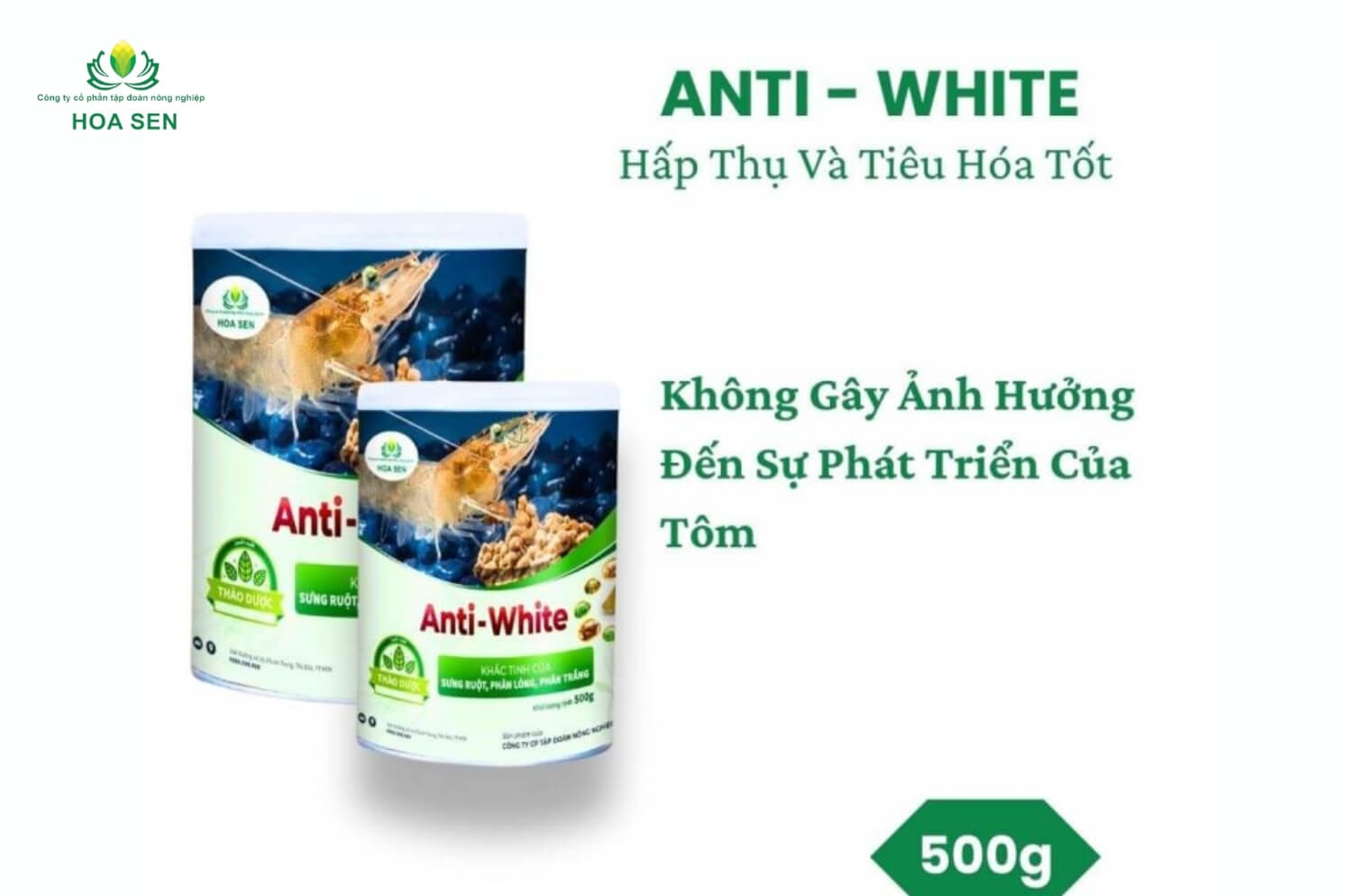 Anti white - Khắc tinh của bệnh đường ruột