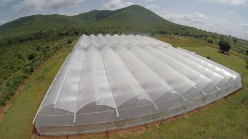 ginegar-drip-lock-g-cool-greenhouse-covering-film-500x500.jpg