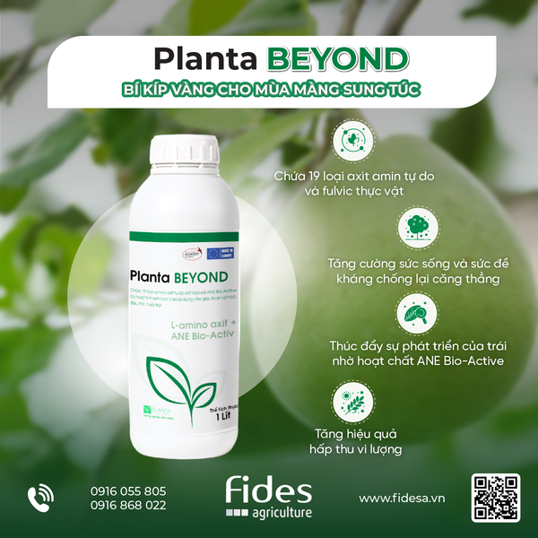 Planta BeyonD, phân bón lá