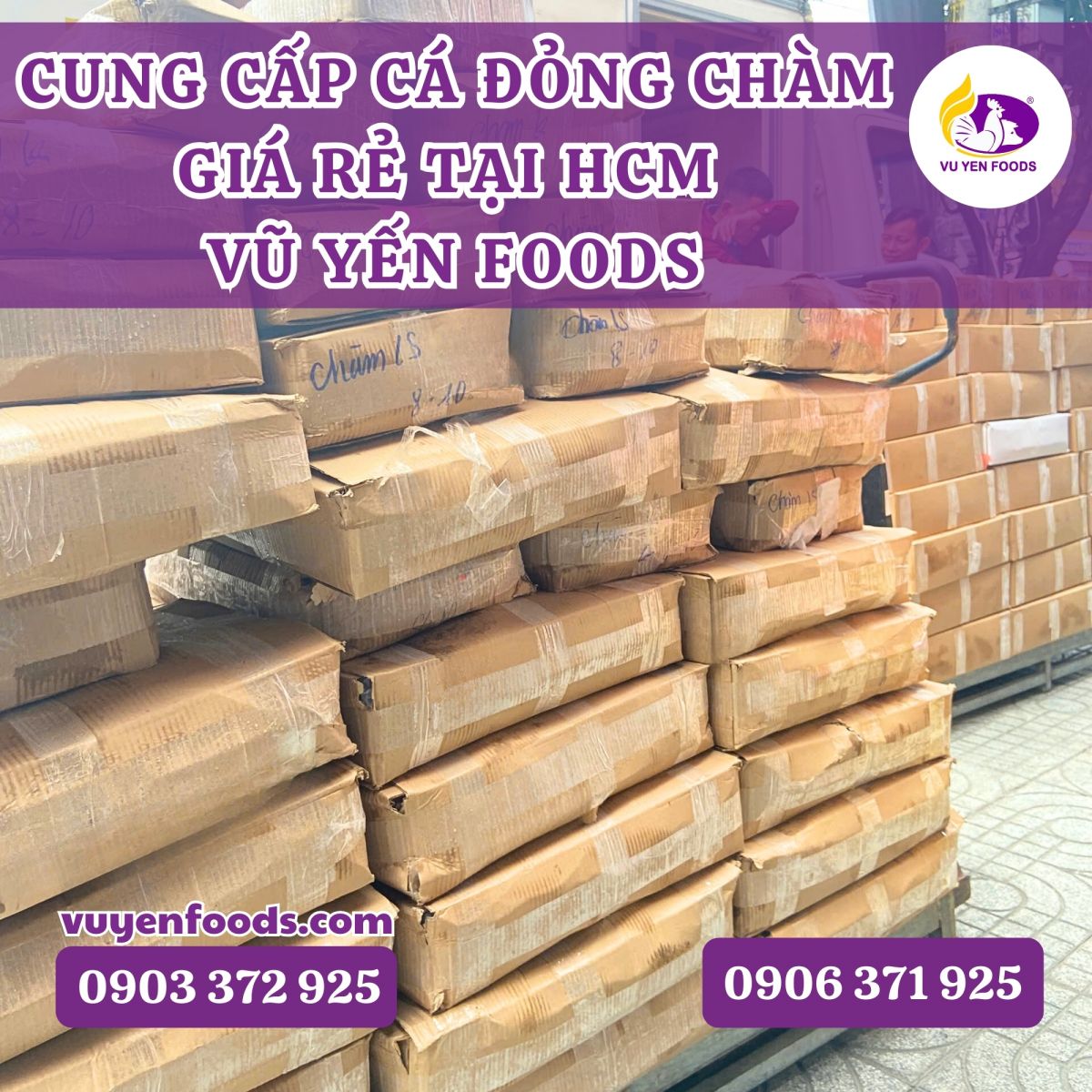 CUNG CẤP CÁ ĐỎNG CHÀM GIÁ RẺ TẠI HCM - VŨ YẾN FOODS