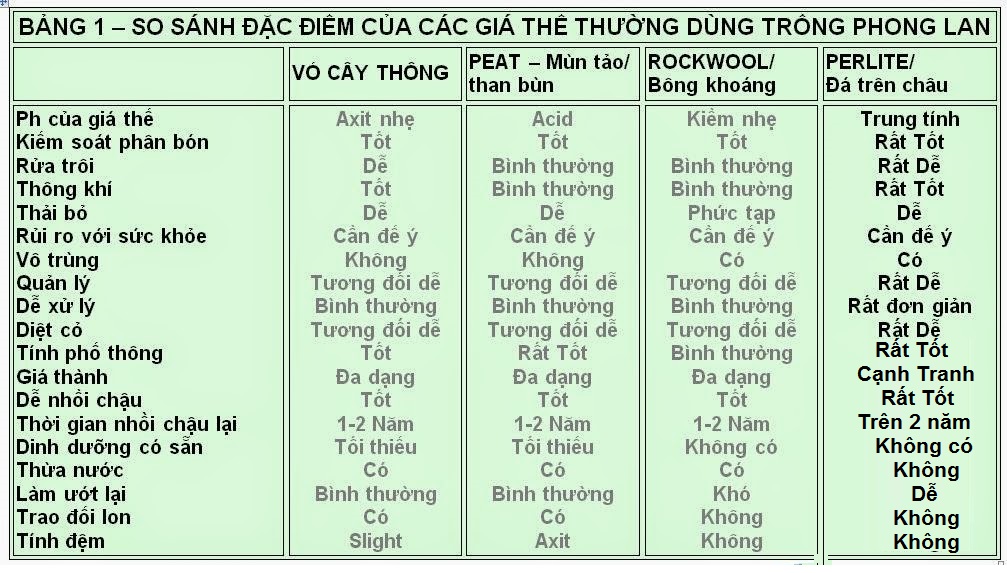 trong-phong-lan-bang-da-perlite.jpg