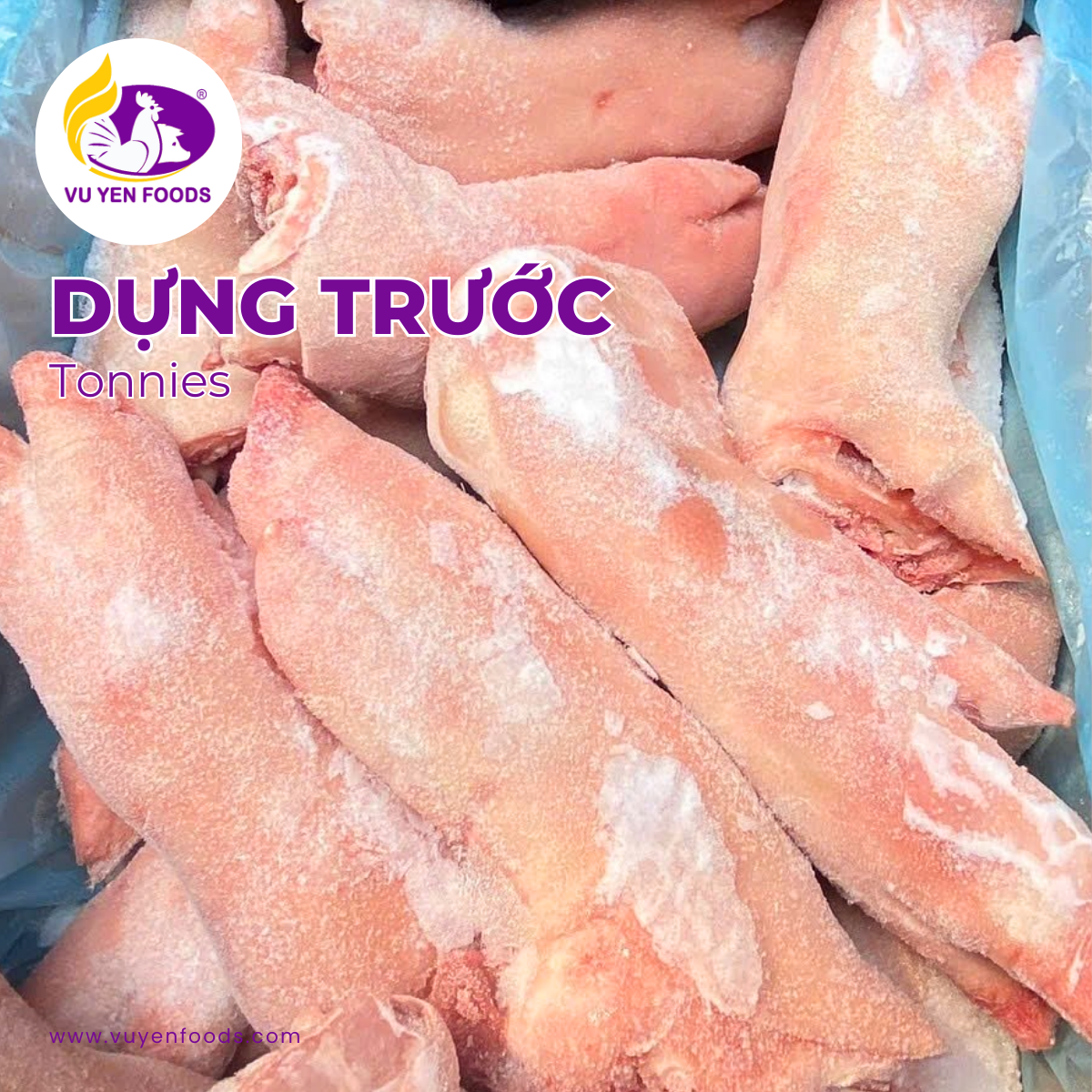 dung%20truoc%20tonnie%20thuc%20pham%20dong%20lanh%20vu%20yen.png