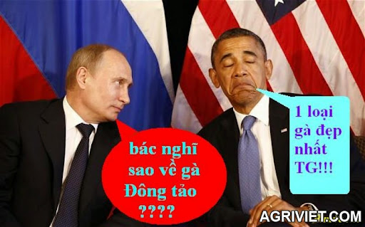 Agriviet.Com-putin-obama.jpg