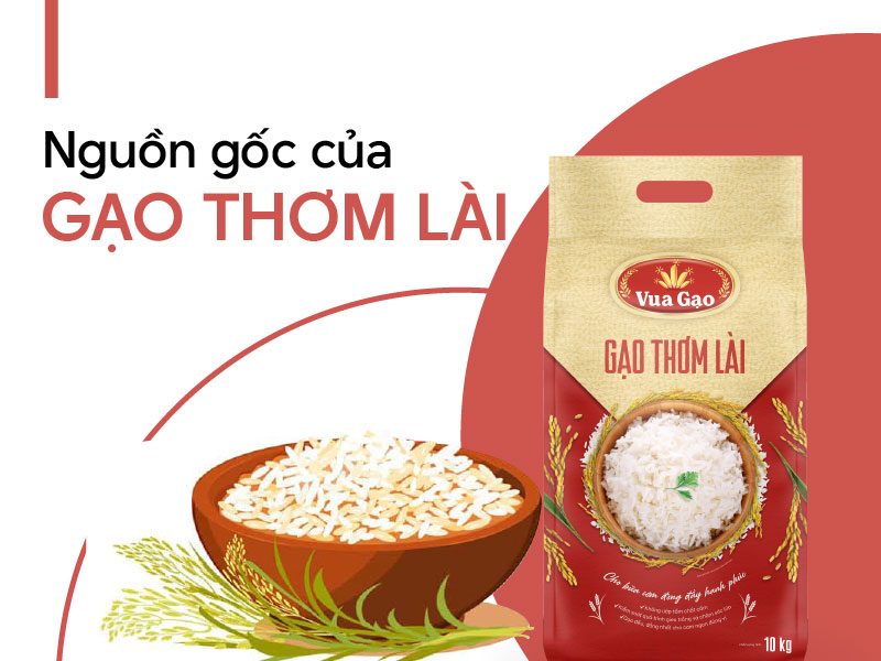 Gạo Thơm Lài Vì Sao Ngon Đến Vậy