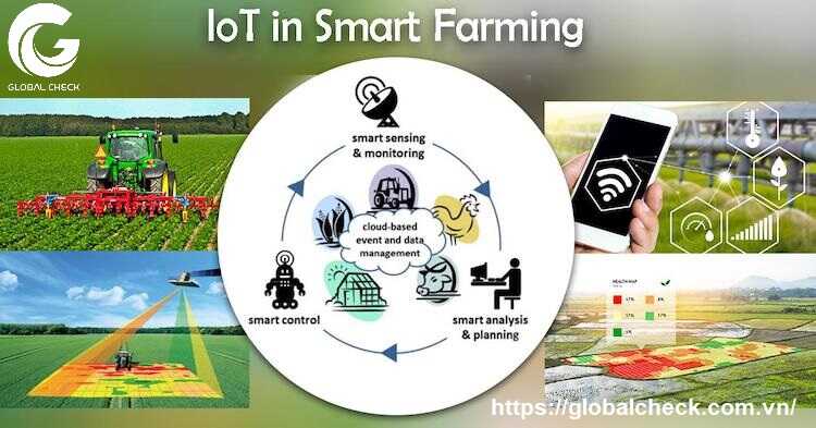 Ứng dụng mô hình IoT nông nghiệp thông minh