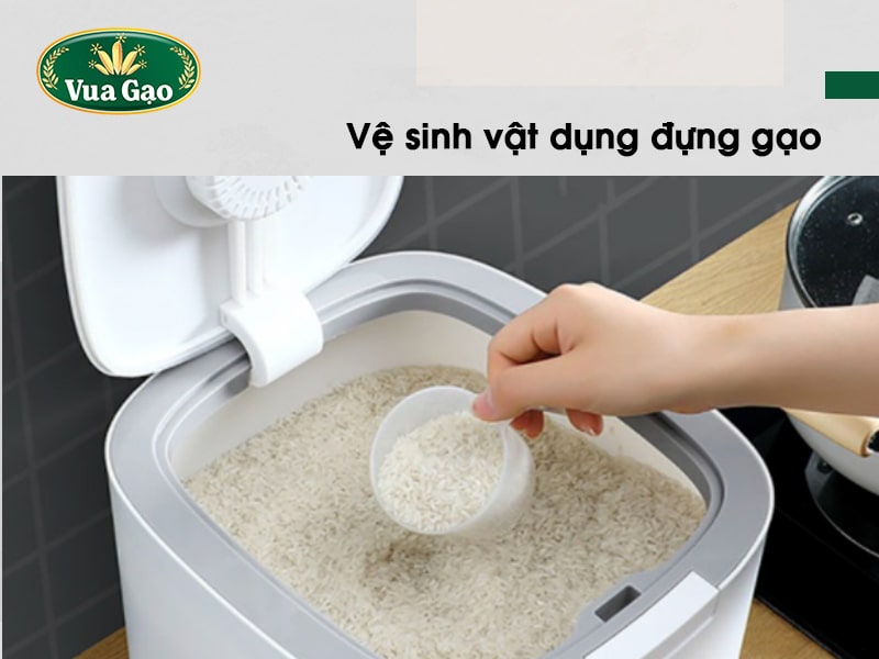 Gạo Bị Mọt – Cách Xử Lý và Bảo Quản Hiệu Quả