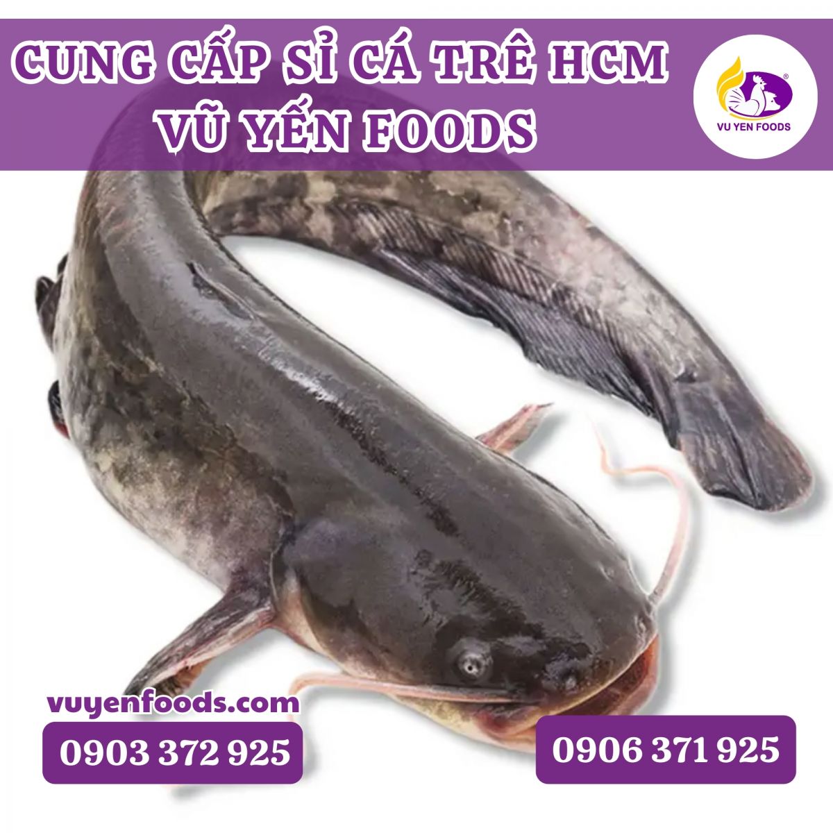 CUNG CẤP SỈ CÁ TRÊ HCM - VŨ YẾN FOODS