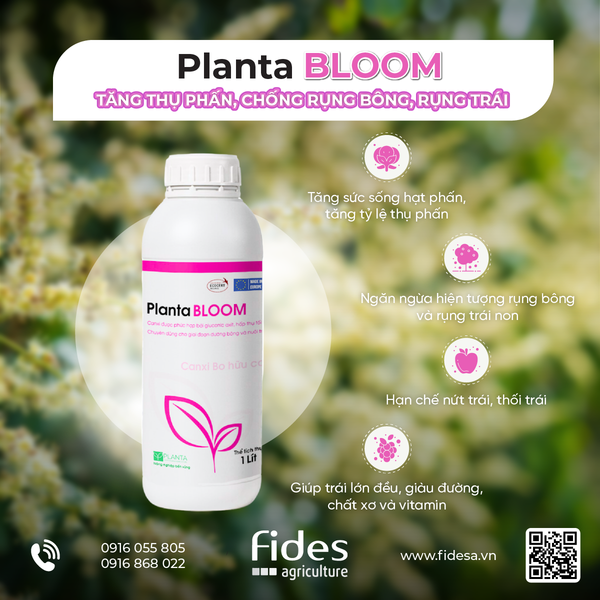 Planta BLOOM, phân bón lá