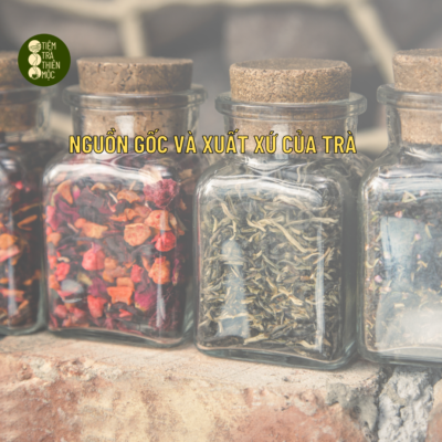 Nguồn gốc và xuất xứ trà chất lượng