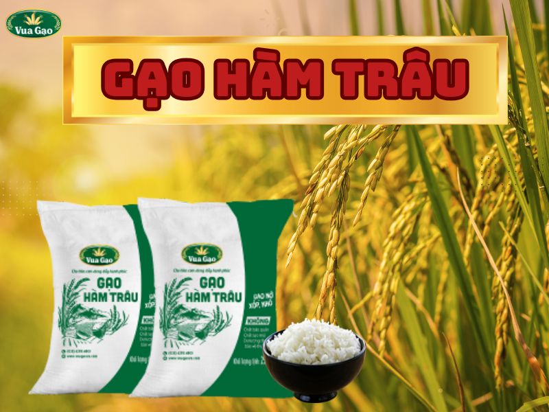 Gạo Hàm Trâu Đà Nẵng