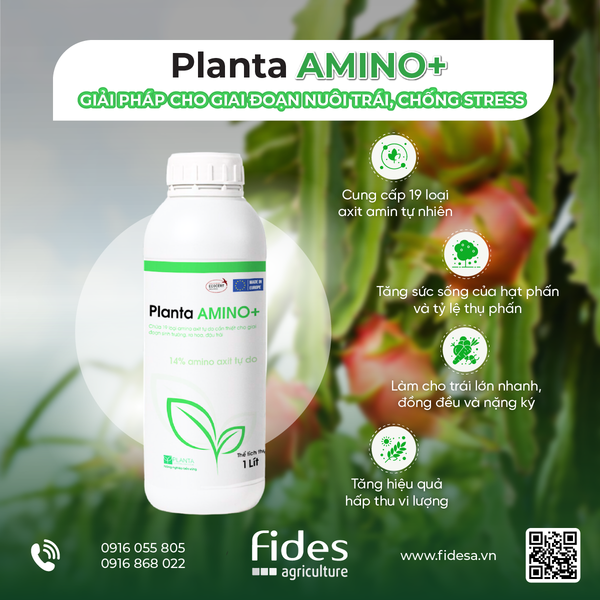 Planta Amino+, phân bón lá