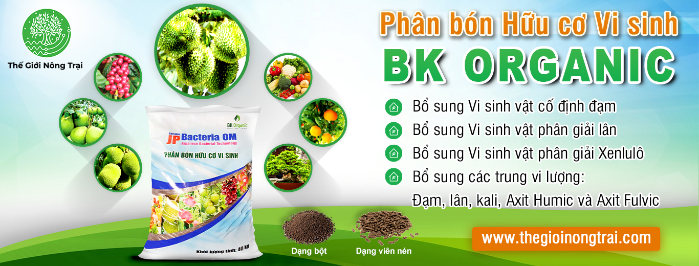 Banner_Bao-bi-phan-bon2.jpg