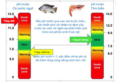 Do-Ph-cua-nuoc-nuoi-ca-canh%2B%25284%2529.jpg