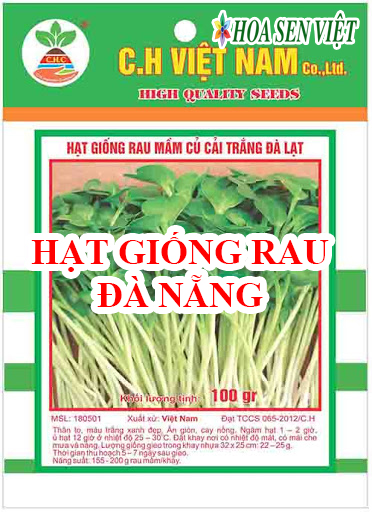 hat-giong-rau-da-nang.jpg