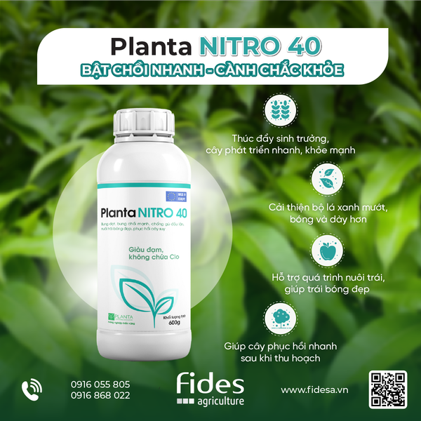 Planta NITRO 40, phân bón lá