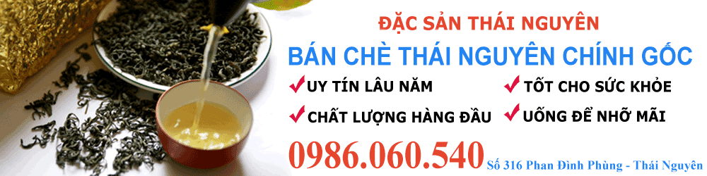 che-thai-nguyen-banner.png