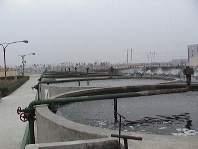 41%20Qingdao%20Hatchery.JPG