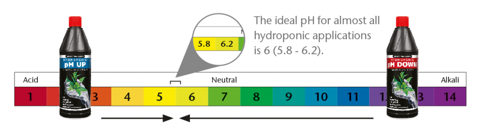 pH-diagram-1024x276.png
