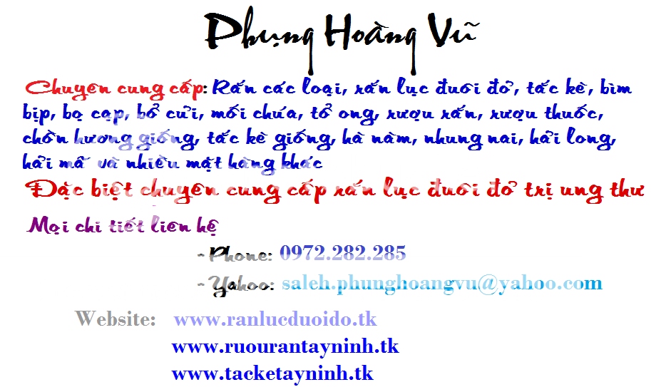 PHVQuangcao-1.png