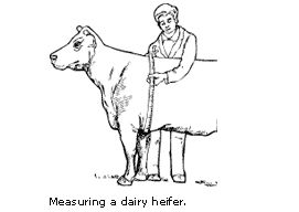 dairy-diagram