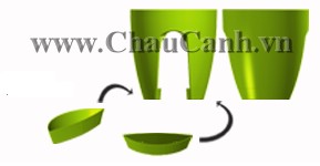 Chau-canh-greenbo.jpg