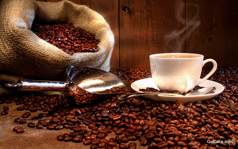 16842-coffee-and-coffee-beans-close-up.jpg